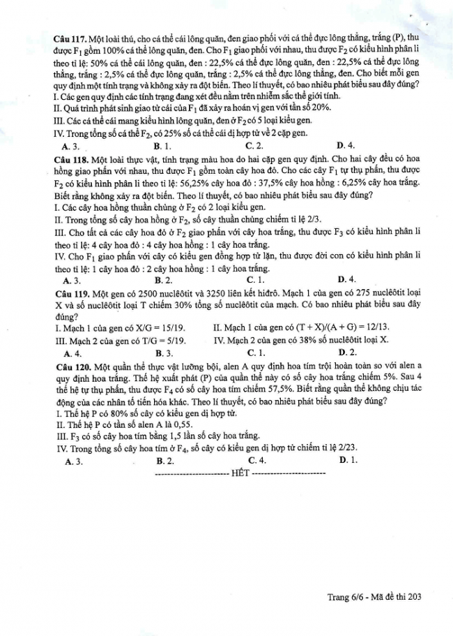 Đề và đáp án môn Sinh học mã đề 203 thi THPT quốc gia năm 2017 - đáp án của bộ GD-ĐT