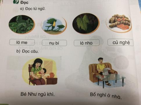 [Phát triển năng lực] Tiếng việt 1 bài 3E: Ôn tập l,m; n, nh; ng, ngh; u, ư