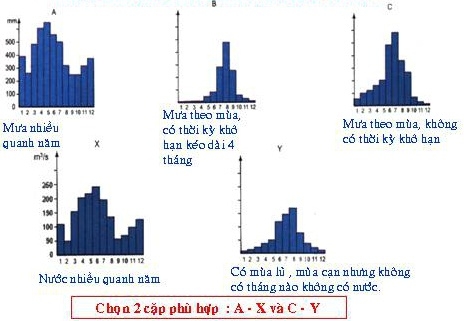 Bài 12: Thực hành nhận biết về các kiểu môi trường đới nóng - Địa lí 7 trang 39