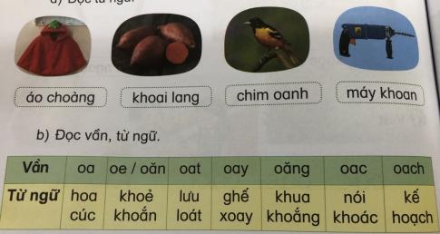 [Phát triển năng lực] Tiếng việt 1 bài 17A: Ôn tập oa- oe, oai - oay, oan - oăn, oat - oăt, oang - oăng - oanh, oac - oăc - oach