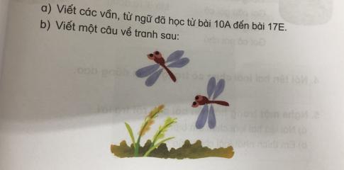 [Phát triển năng lực] Tiếng việt 1 bài 18: Ôn tập cuối Học kì I