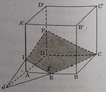 Giải Câu 5 Bài Ôn tập cuối năm-1