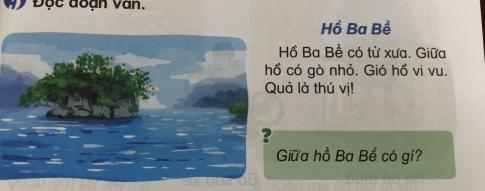 [Phát triển năng lực] Tiếng việt 1 bài 5D: chữ thường và chữ hoa