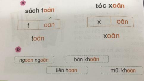 [Phát triển năng lực] Tiếng việt 1 bài 16B: oan, oăn