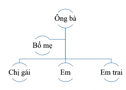 [Chân trời sáng tạo] Soạn tự nhiên và xã hội 2 bài 1: Các thế hệ trong gia đình