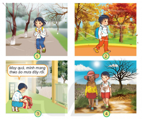 [Kết nối tri thức và cuộc sống] Giải tự nhiên xã hội 2 bài 28: Các mùa trong năm