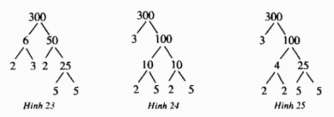 Bài 15: Phân tích một số ra thừa số nguyên tố