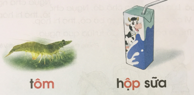 [Cánh điều] Giải Tiếng Việt 1 tập 1 bài 48: ôm, ôp