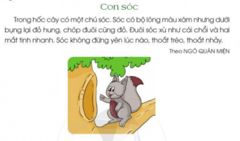 [Cánh Diều] Giải tiếng việt 2 bài 26: Muôn loài sống chung