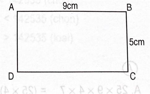 Đáp án phiếu bài tập tuần 10 đề A toán 4 tập một