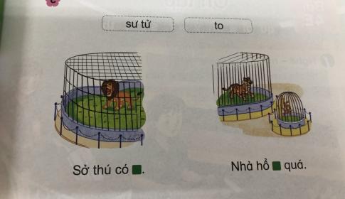 [Phát triển năng lực] Tiếng việt 1 bài 4D: t, th