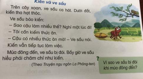 [Phát triển năng lực] Tiếng việt 1 bài 16B: oan, oăn