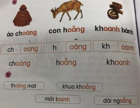 [Phát triển năng lực] Tiếng việt 1 bài 16D: oang, oăng, oanh
