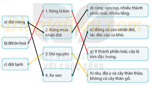[KNTT] Giải SBT lịch sử và địa lí 6 bài: Sự sống trên Trái Đất