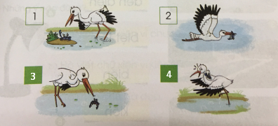 [Cánh điều] Giải Tiếng Việt 1 tập 1 bài 64: in, it