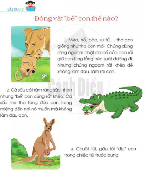 [Cánh Diều] Giải tiếng việt 2 bài 25: Thế giới rừng xanh