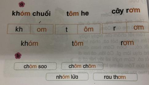 [Phát triển năng lực] Tiếng việt 1 bài 11C: om, ôm, ơm