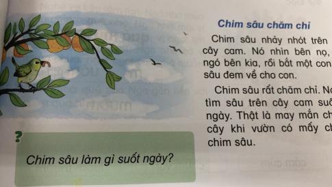 [Phát triển năng lực] Tiếng việt 1 bài 11D: em, êm, im