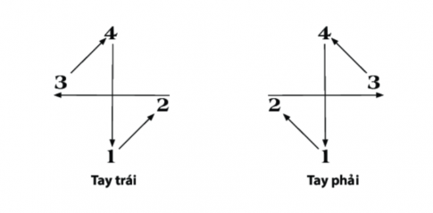 [CTST] Giải SBT Âm nhạc 6 bài 3: Biết ơn thầy cô