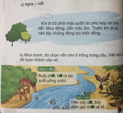 [Phát triển năng lực] Tiếng việt 1 bài 24B: Những chuyến đi thú vị