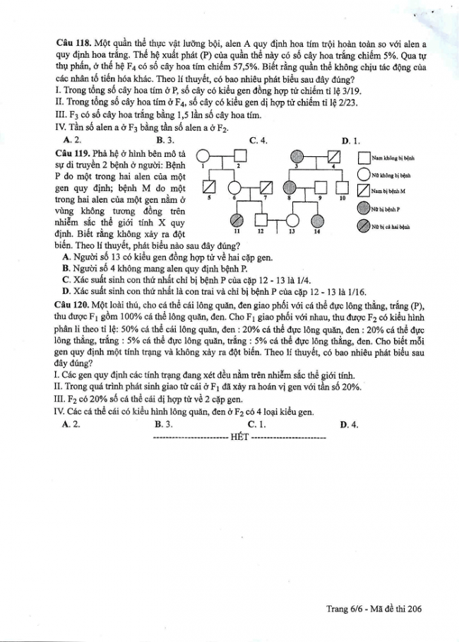 Đề và đáp án môn Sinh học mã đề 206 thi THPT quốc gia năm 2017 - đáp án của bộ GD-ĐT