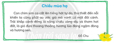 [Chân trời sáng tạo] Giải tiếng việt 2 bài ôn tập 2