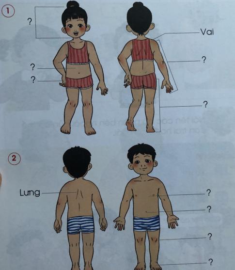 [Cánh diều] Giải tự nhiên và xã hội 1 Bài 14: Cơ thể em