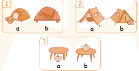 Giải SBT Tiếng Anh 2 Unit 16: At the campsite