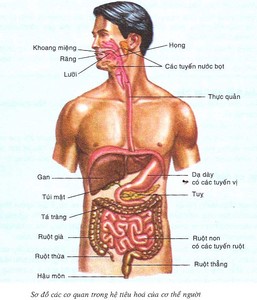 Hình ảnh có liên quan
