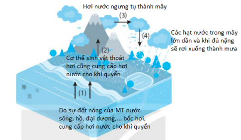 [Kết nối tri thức] Giải SBT lịch sử và địa lí 6 bài: Nhiệt độ không khí. Mây và mưa