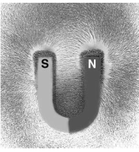 Giải câu 6 trang 80 khoa học tự nhiên VNEN 9 tập 2