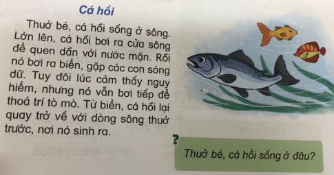 [Phát triển năng lực] Tiếng việt 1 bài 17B: uê, uy, uơ