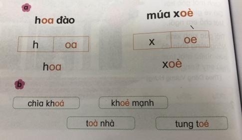 [Phát triển năng lực] Tiếng việt 1 bài 15E: oa, oe