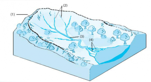 [KNTT] Giải SBT lịch sử và địa lí 6 bài: Sông và hồ. Nước ngầm và băng hà