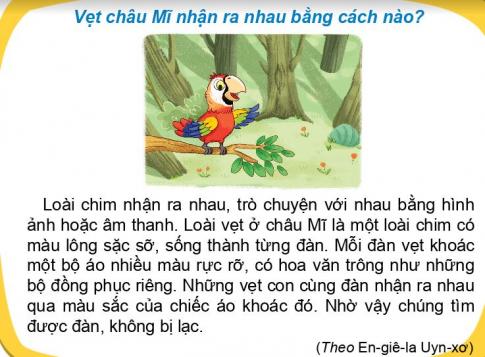 [Phát triển năng lực] Tiếng việt 1 bài 33D: Quanh em có gì thú vị?