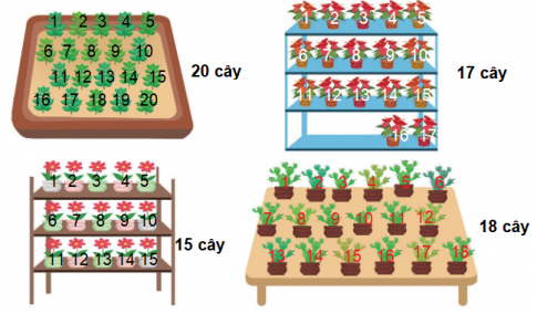 [Cánh diều] Giải toán 1 bài: Luyện tập trang 92