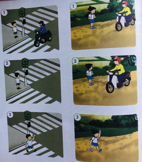 [Cánh diều] Giải tự nhiên và xã hội 1 Bài 9: An toàn trên đường