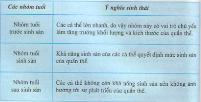 Kết quả hình ảnh cho các nhóm tuổi