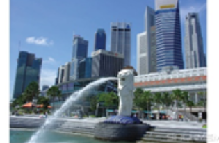 Giải VBT tiếng Anh 6 VNEN unit 9: Cities of the world