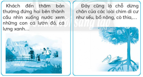 [CTST] Giải VBT Tiếng Việt 2 bài: Ôn tập giữa học kì II (2)