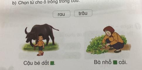 [Phát triển năng lực] Tiếng việt 1 bài 18: Ôn tập cuối Học kì I