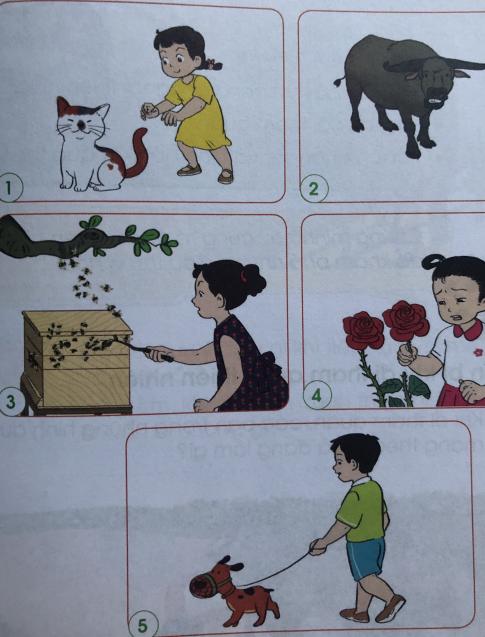 [Cánh diều] Giải tự nhiên và xã hội 1 Bài 12: Chăm sóc, bảo vệ cây trồng và vật nuôi