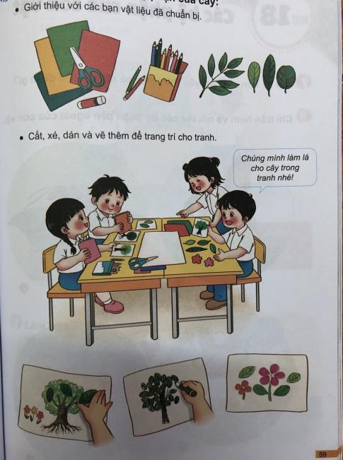 [Phát triển năng lực] Giải tự nhiên và xã hội 1 Bài 17: Các bộ phận của cây
