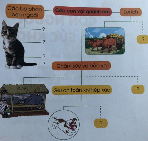 [Cánh diều] Giải tự nhiên và xã hội 1 Bài Ôn tập và đánh giá Chủ đề thực vật và động vật