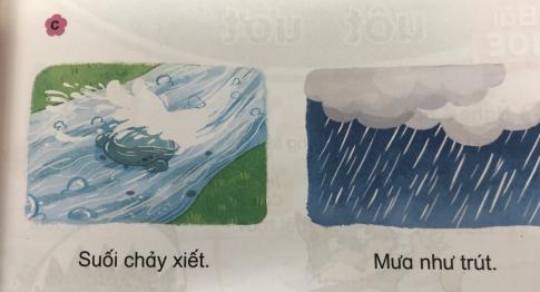 [Phát triển năng lực] Tiếng việt 1 bài 10D: ut, ưt, iêt