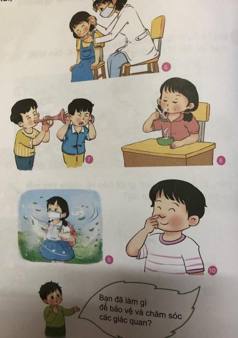 [Phát triển năng lực] Giải tự nhiên và xã hội 1 Bài 22: Cơ thể của em