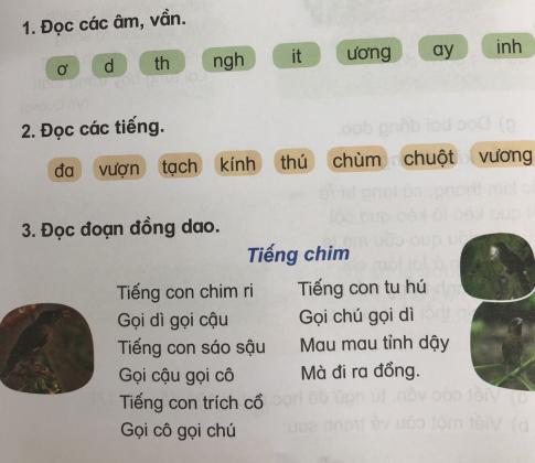 [Phát triển năng lực] Tiếng việt 1 bài 18: Ôn tập cuối Học kì I