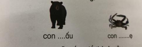 [Phát triển năng lực] Tiếng việt 1 bài 18: Ôn tập cuối Học kì I