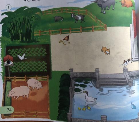 [Cánh diều] Giải tự nhiên và xã hội 1 Bài1: Các con vật quanh em