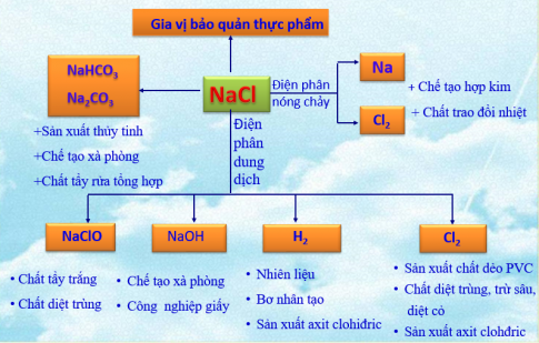 Bài 10: Một số muối quan trọng